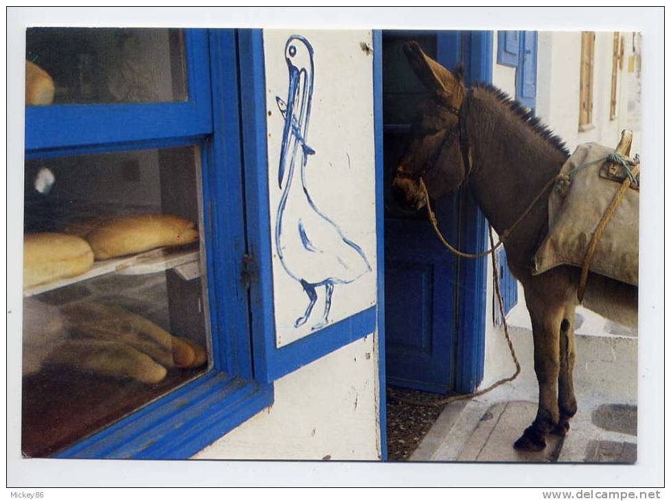 Grèce--MYKONOS---Ane  En Boulangerie(image Pélican)--n°MK 35  éd Michel Bastias Photo Pierre Courteau  1982--belle Carte - Grèce