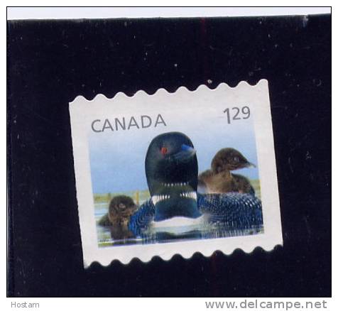 CANADA. 2012, Wildlife BABIES:  Young  Loons,   Used  #2511, Oversized Rate  VERY CLEAN - Oblitérés