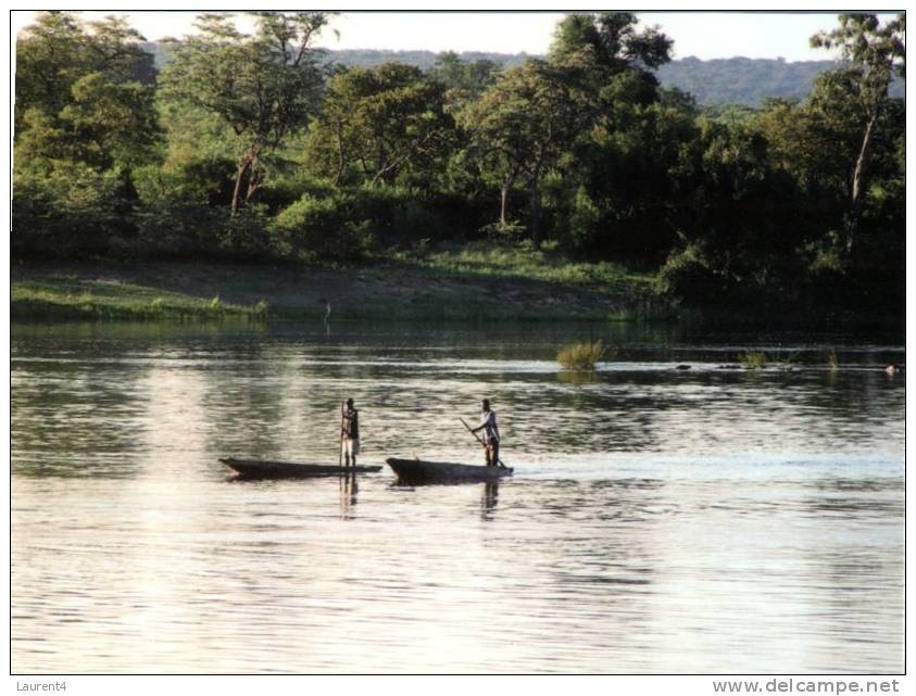 (550) Zambezi River - Zambia - Zambie