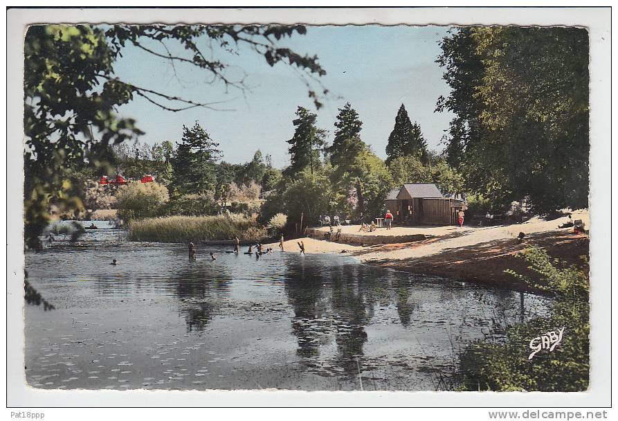 CHATEAU LA VALLIERE (37) - La Plage - CPSM Dentelée PF - Indre Et Loire - Autres & Non Classés