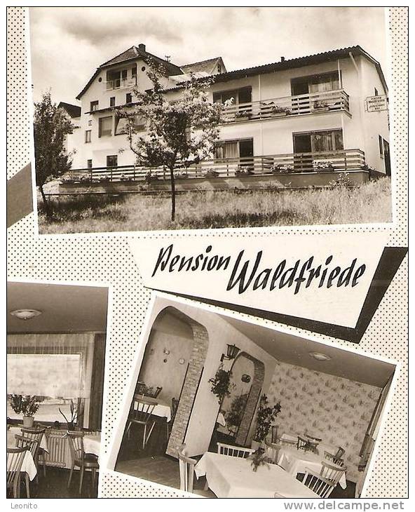 PENSION WALDFRIEDE Michelstadt Odenwald Weiten-Gesäss Hessen 1967 - Michelstadt