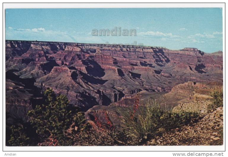 USA ARIZONA AZ, GRAND CANYON NATIONAL PARK, HOPI POINT, C1960s Vintage Unused Postcard  [s2645] - Grand Canyon