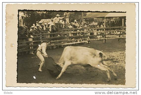 Set Of 4 Real Photo Corrida Campestre Toros In Rodas Cienfuegos Torero In A Village - Cuba