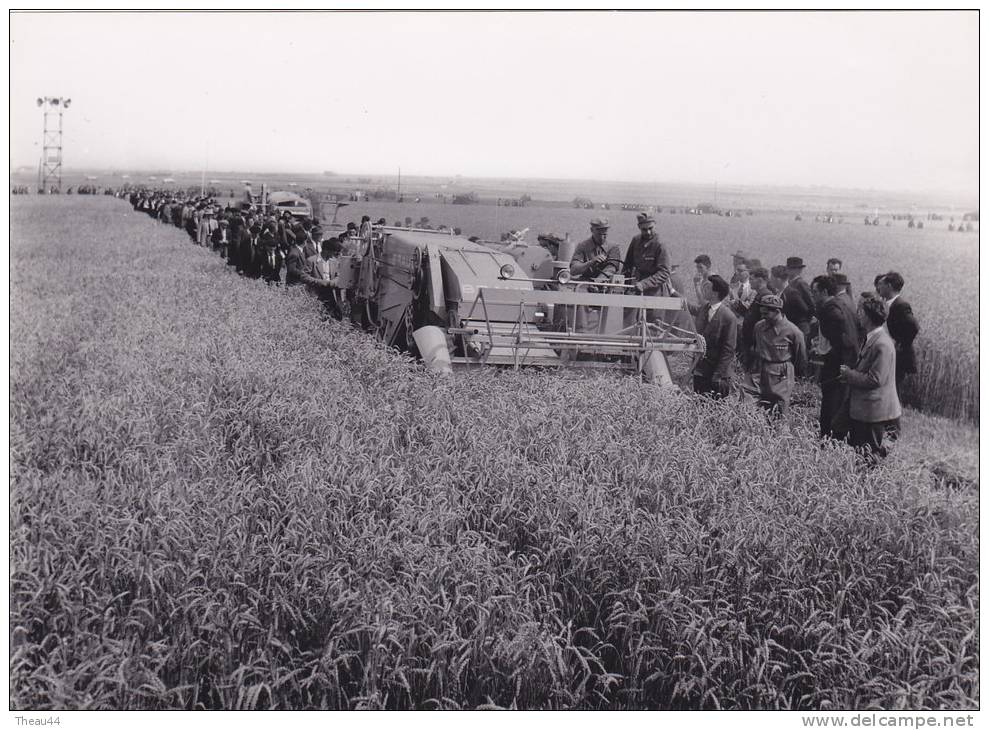 Attention Photo (dim 18 X 13) - SAINT-MARS-la-JAILLE -  Machine Agricole " BRAUD " - Tracteur - Autres & Non Classés