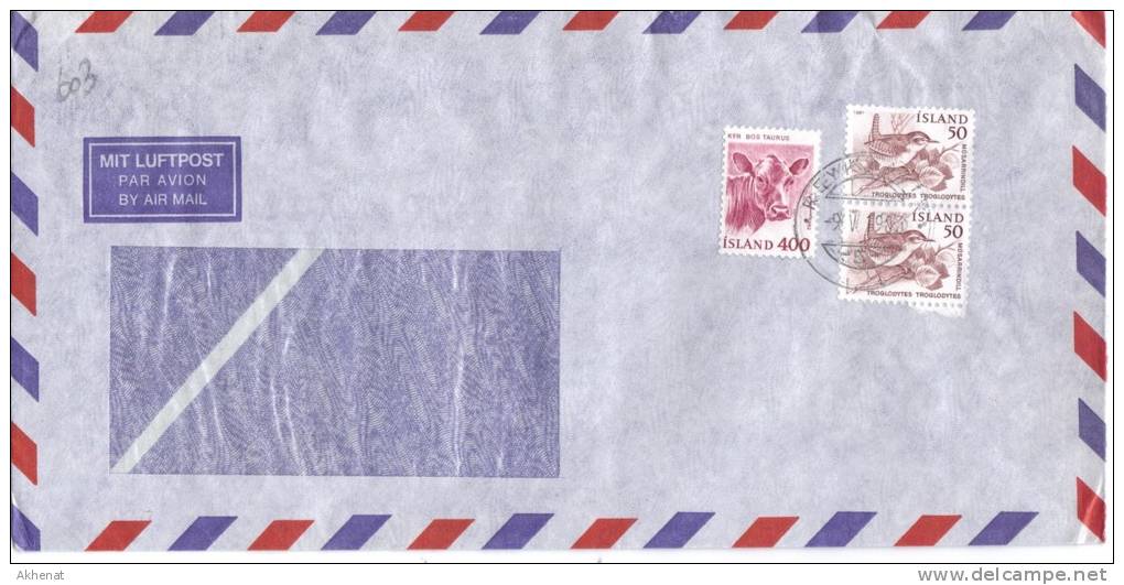 TZ603 - ISLANDA , Lettera Commerciale Per L'Italia Air Mail 9/5/1983. Bird + Altro - Lettres & Documents