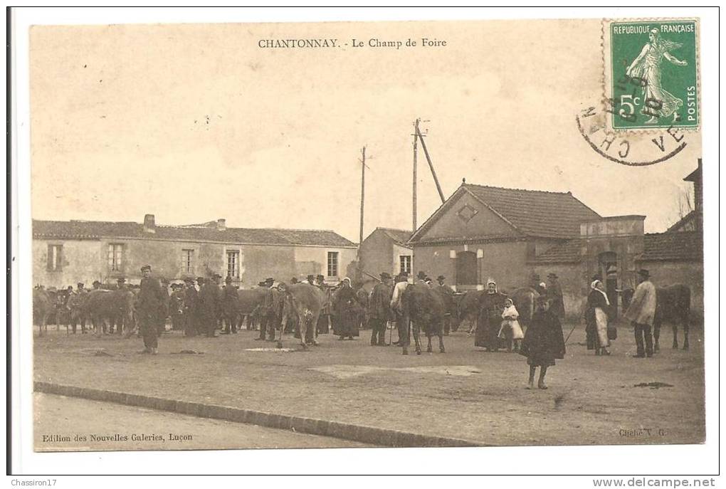 85 - CHANTONNAY - Le Champ De Foire - Très Belle Animation Marché Aux Bestiaux - Chantonnay