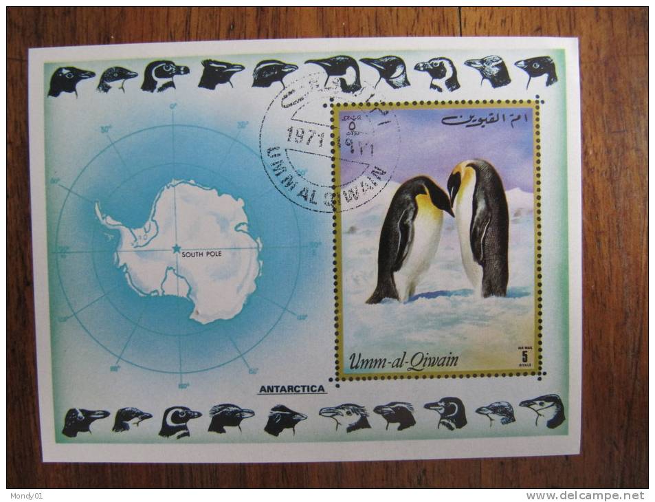 3-1168 Peinguin Manchot  Antarctic Antarctique Zuidpool Antarktis Südpol Antártico El Polo Sur Antartico Polo Sud - Pingouins & Manchots