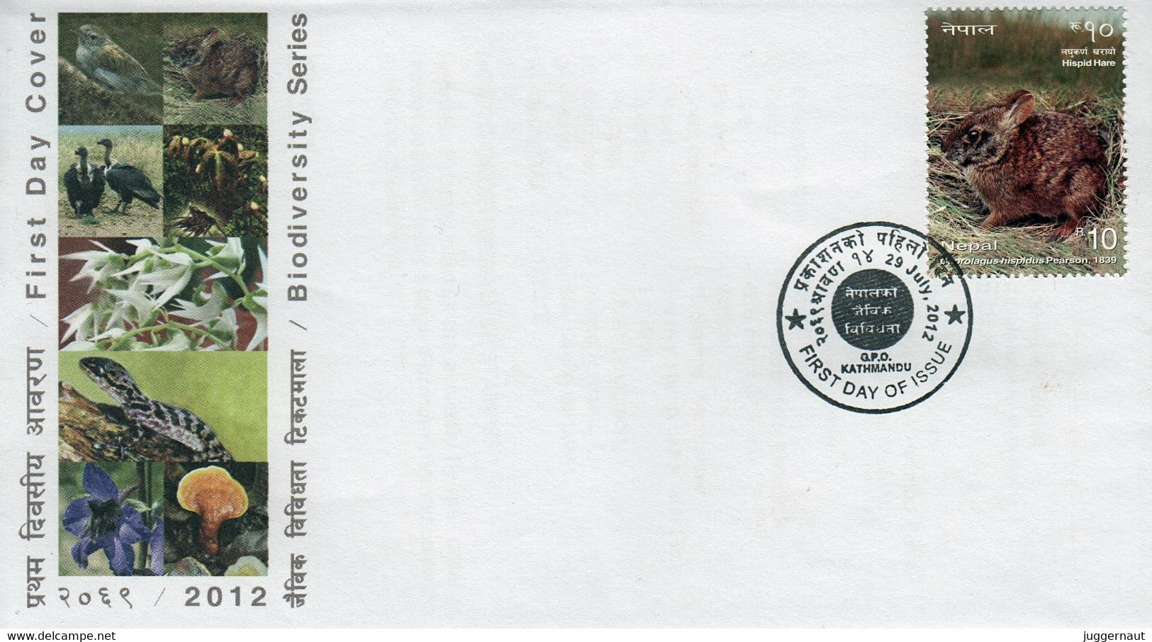 HISPID HARE FDC NEPAL 2012 - Hasen