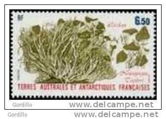 ***TAAF Lichen  126 MNH*** - Neufs