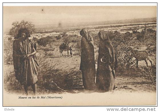 Maures Au Lac De Mal  Gardien Chevre Ane Goat Keeper - Mauritania