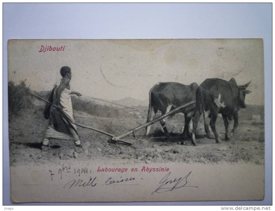 DJIBOUTI  :  Labourage En  ABYSSINIE     1904 - Djibouti