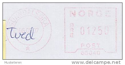 Norway TMS Cancel 85040 SUNNDALSØRA 2007 Cover Brief To Denmark (2 Scans) - Covers & Documents