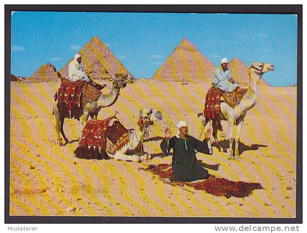 Egypt Egypte CPA Giza - Arab Camelriders In Front Of The Pyramids - Gizeh