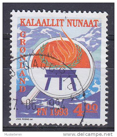 Greenland 1993 Mi. 230  4.00 Kr International Year Of The Natives Internationales Jahr Der Ureinwohner - Used Stamps