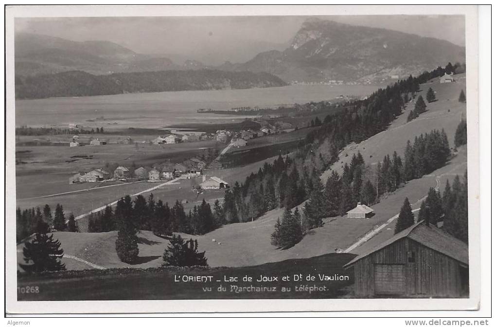 L 364 - L'Orient Lac De Joux Et Dent De Vaulion - Vaulion