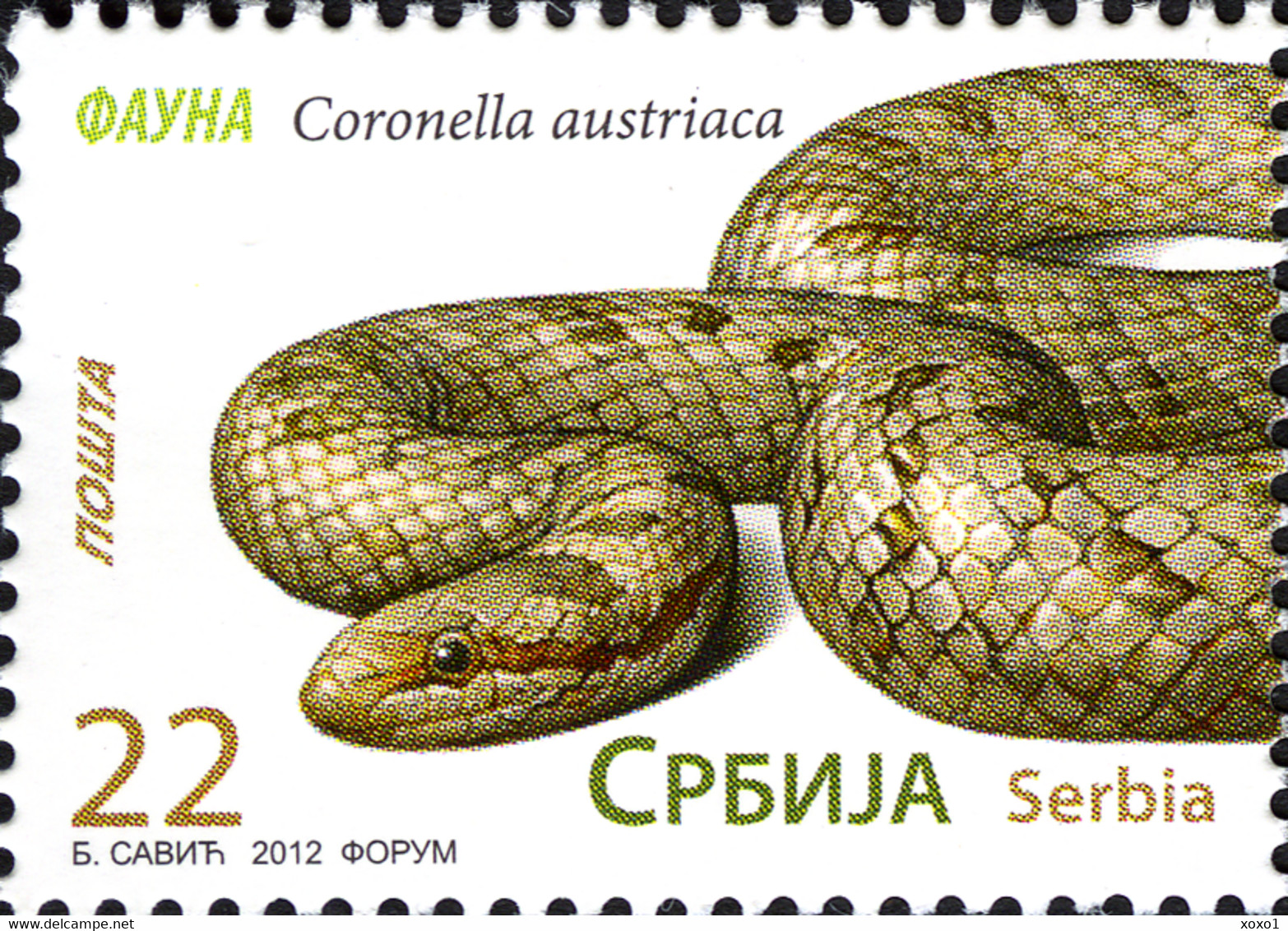 Serbia 2012 MiNr. 460 - 463  Serbien Reptiles Turtles Snakes 4v  MNH** 5,00 € - Serpents