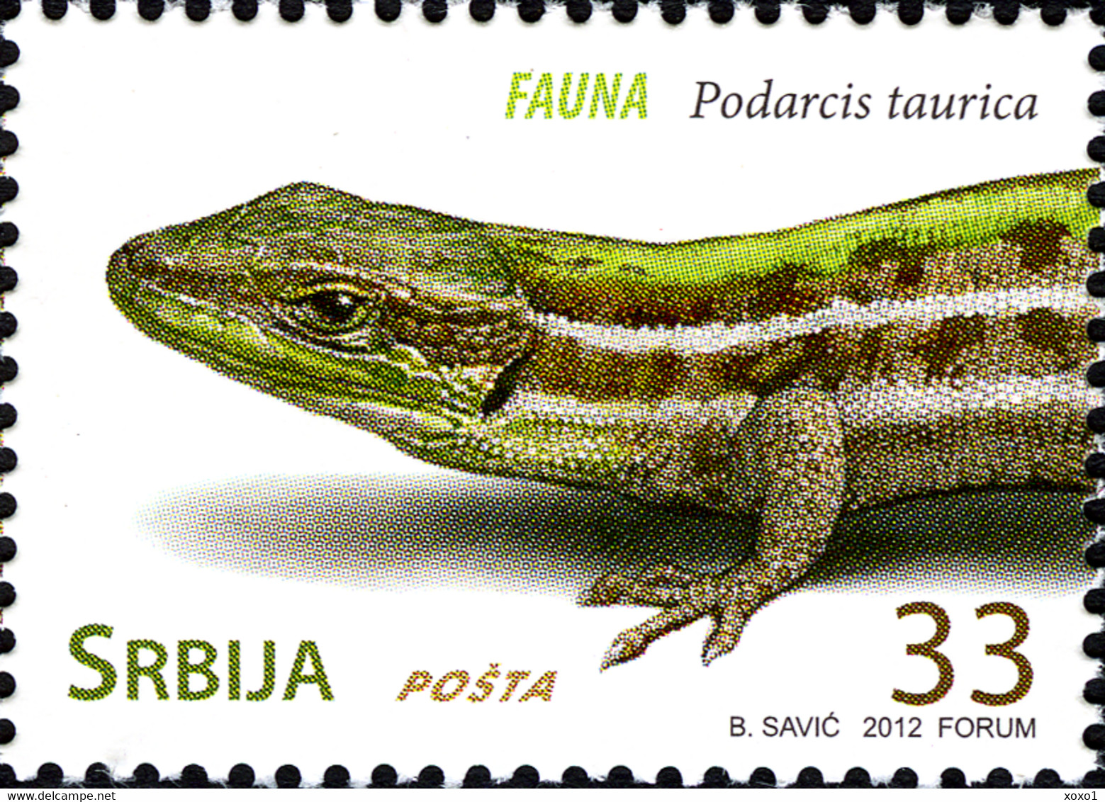 Serbia 2012 MiNr. 460 - 463  Serbien Reptiles Turtles Snakes 4v  MNH** 5,00 € - Snakes