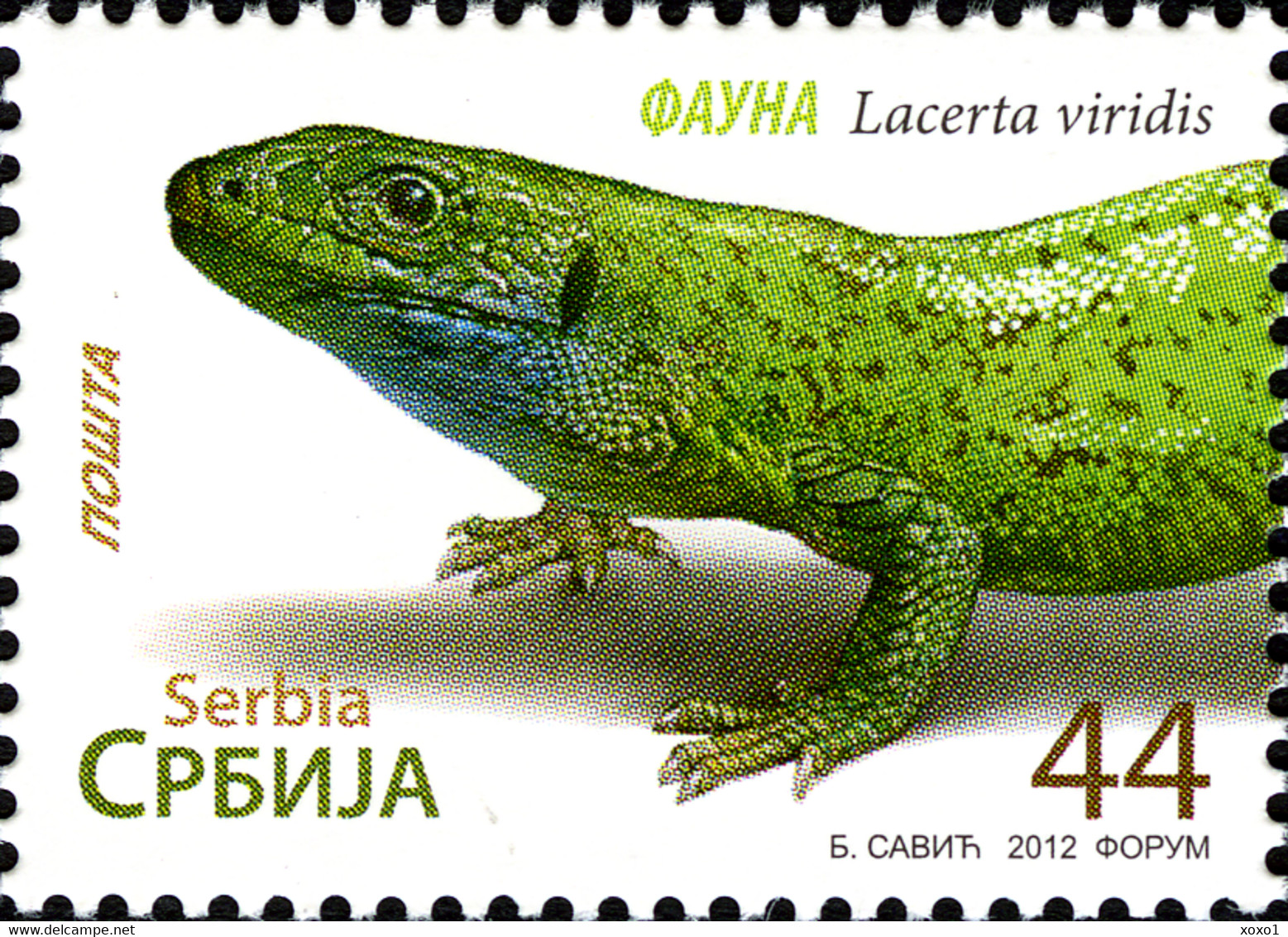 Serbia 2012 MiNr. 460 - 463  Serbien Reptiles Turtles Snakes 4v  MNH** 5,00 € - Snakes