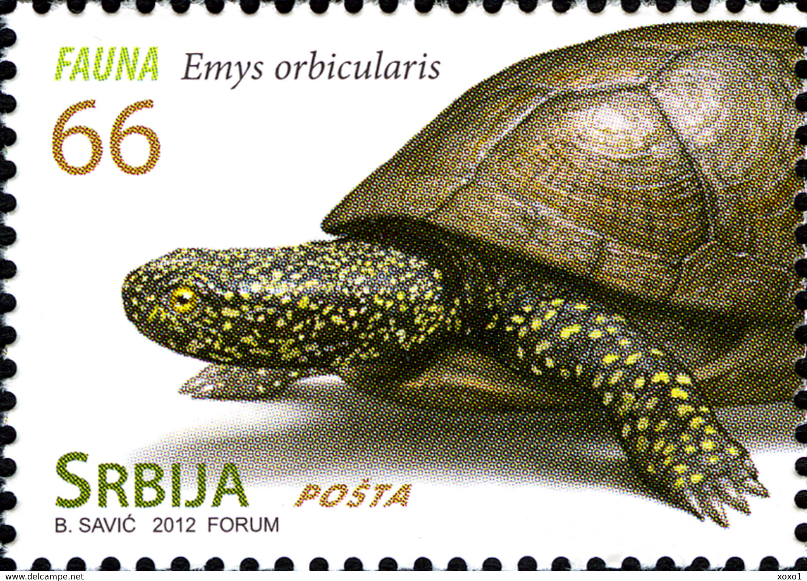 Serbia 2012 MiNr. 460 - 463  Serbien Reptiles Turtles Snakes 4v  MNH** 5,00 € - Serpents