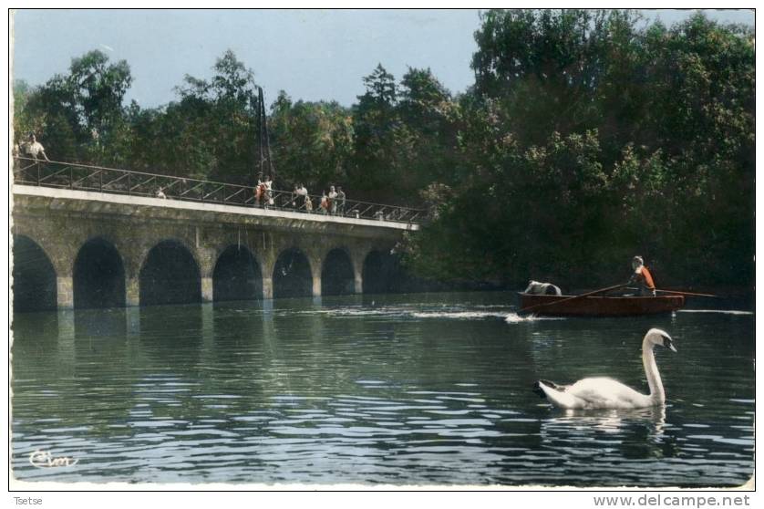 Le Quesnoy - Lac Vauban -Canotage Et Cygnes Sur Le Lac - 1961  ( Voir Verso ) - Le Quesnoy