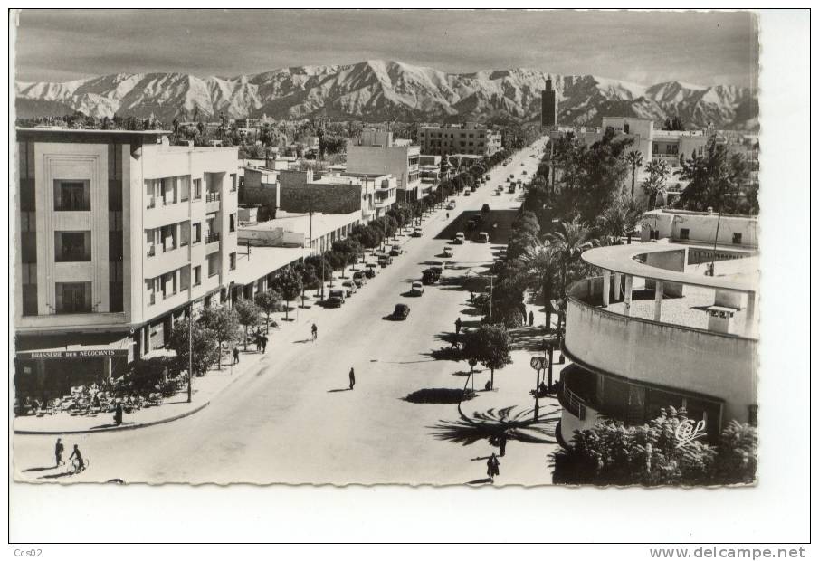 Marrakech L'Avenue Mohammed V La Koutoubia Et L'Atlas 1959 - Marrakech
