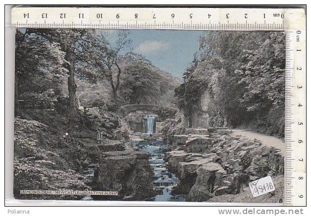 PO4943B# REGNO UNITO - JESMOND DENE - NEWCASTLE-UPON-TYNE  VG 1967 - Newcastle-upon-Tyne