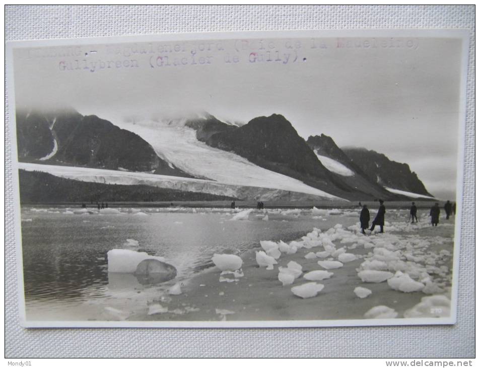 2-858 Svalbard Spitzberg Pole Nord Baie De La Madelaine Gullybreen Glacier Gully CPA Spitzbergen Arctic Arctique Glace - Pingouins & Manchots