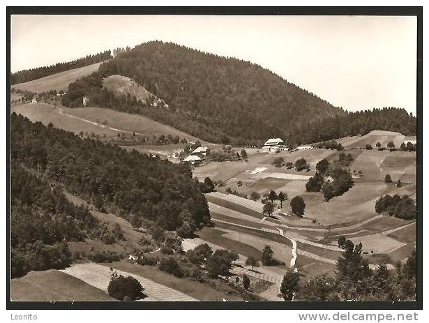 HALDENHOF Gasthaus Pension Post Neuenweg Südl. Schwarzwald 1969 - Loerrach