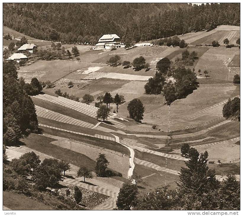 HALDENHOF Gasthaus Pension Post Neuenweg Südl. Schwarzwald 1969 - Loerrach