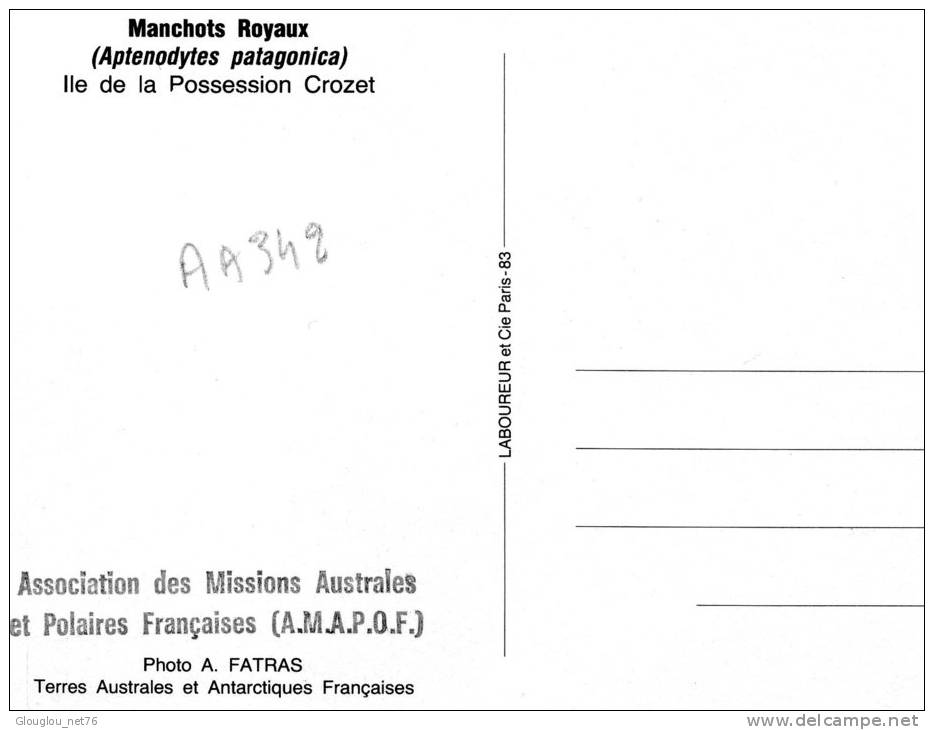 TAAF..ILE DE LA POSSESSION CROZET...MANCHOTS ROYAUX....CPM - TAAF : Territorios Australes Franceses