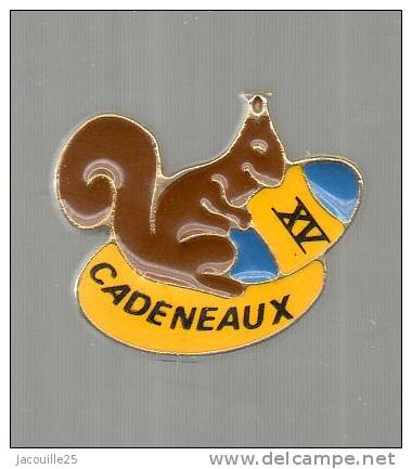 PINS PIN´S RUGBY XV ECUREUIL CADENEAUX - Rugby