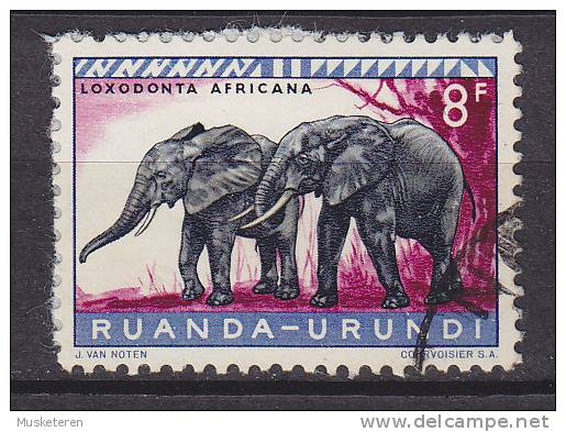 Ruanda-Urundi 1959 Mi. 171 A      8 Fr Geschüzte Tier Afrikanischer Elefant - Gebraucht