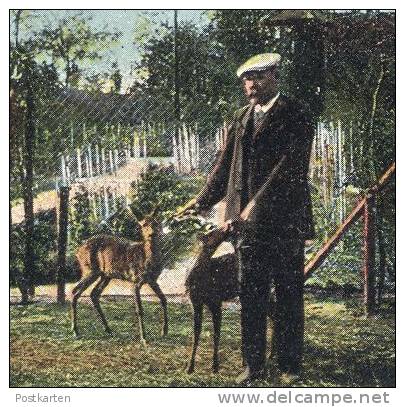 ALTE POSTKARTE PARK HERRENHAIDE BEI BURGSTÄDT BARBAROSSA-HÖHLE IRRGARTEN REH DEER CHEVREUIL Parque Parc Postcard Cpa AK - Burgstaedt