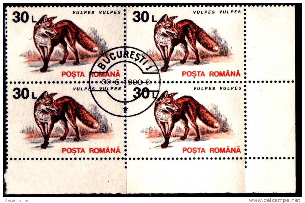 ROMANIA - 1993 -  Animali - Volpe Rossa - Vulpes Vulpes - 30 L - Quartina - Usado