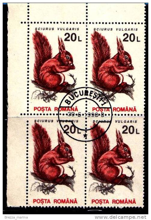 ROMANIA - 1993 -  Animali - Scoiattolo Rosso - Sciurus Vulgaris - 20 L - Quartina - Gebraucht