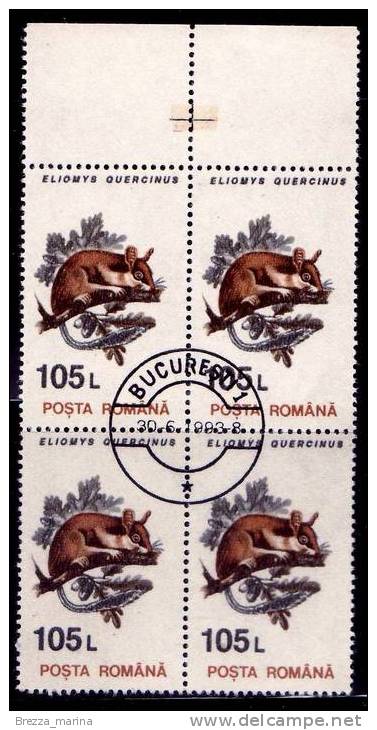 ROMANIA - 1993 -  Animali - Marmotta Alpina - Eliomys Quercinus - 105 L  - Quartina - Gebruikt