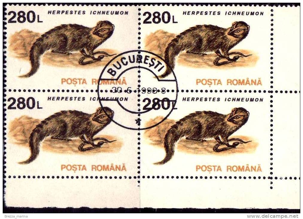 ROMANIA - 1993 -  Mangusta Egiziana - Herpestes Ichneumon - 280 L - Quartina - Usado