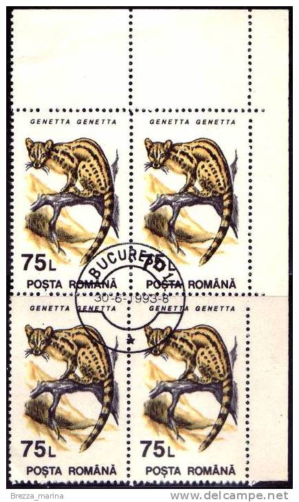 ROMANIA - Usato - 1993 - Animali - Mammiferi - Genetta Comune - 75 L  - Quartina - Gebruikt