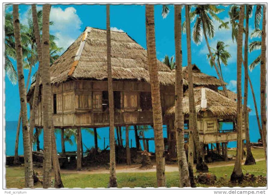 Philippines - Traditional House Built From Coconut, Bamboo And Nipa Palm - Philippines