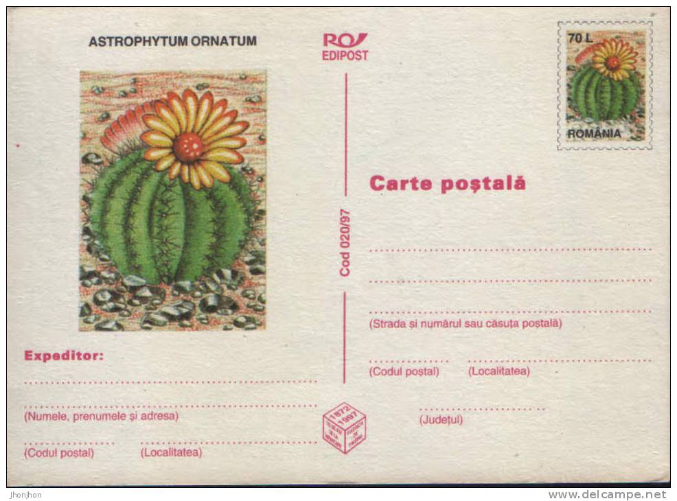 Romania-Postal Stationery Postcard 1997-Cactus- Astrophytum Ornatum -unused - Cactusses