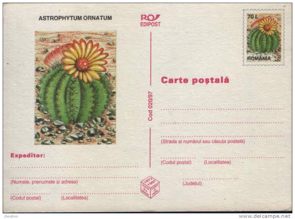 Romania-Postal Stationery Postcard 1997-Cactus- Astrophytum Ornatum -unused - Sukkulenten