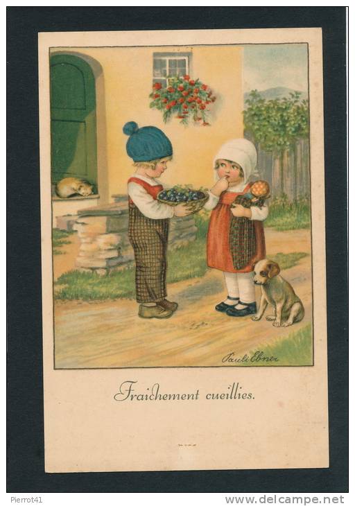 ENFANTS - Jolie Carte Fantaisie Enfants Avec Chien Chat Et Fruits  "Fraîchement Cueillies " Signée Pauli EBNER - Ebner, Pauli