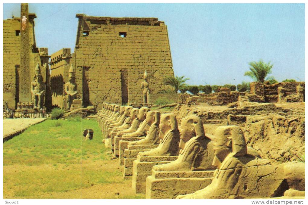 Luxor - Veduta - Louxor