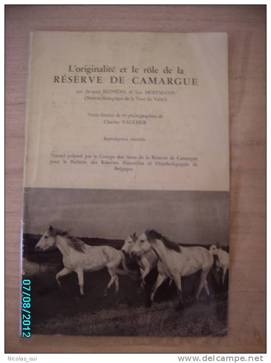 L ORIGINALITE Et Le Role De La Reserve De Camargue - Autres & Non Classés