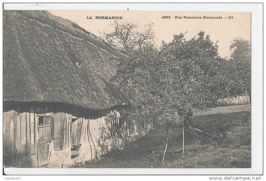 G G M 604 -C P A -LA NORMANDE -LE CIDRE -POMMES-  NOS POMMIERS NORMANDS - Otros & Sin Clasificación