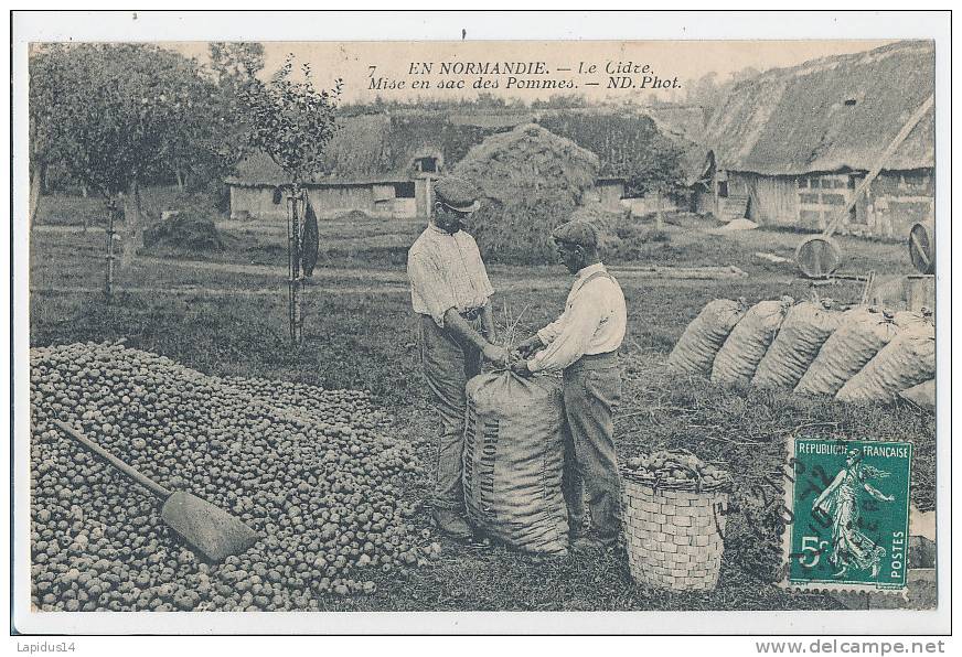 G G M 608 -C P A -EN NORMANDE -LE CIDRE -POMMES- MISE EN SAC DES POMMES - Otros & Sin Clasificación