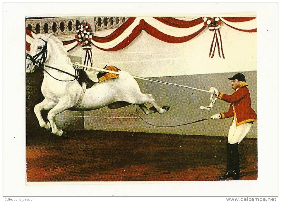 Photo, Cheval, Vienne (Autriche) - Ecole D'Equitation De La Cor Espagnole - Dimension : 10 X 7.2 Cm - Otros & Sin Clasificación