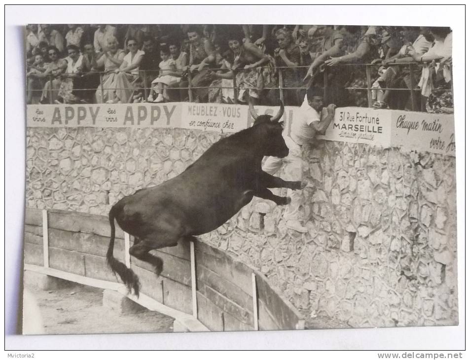 LUNEL , Le 22 AOUT 1960, Course Libre , Le Cocardier JOFRE Sur SOLER - Lunel