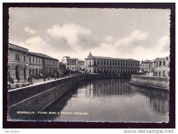 SENIGALLIA - Senigallia