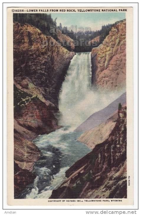 LOWER FALLS FROM RED ROCK GORGE~YELLOWSTONE NATIONAL PARK~1950s Postcard  [c2685] - USA National Parks